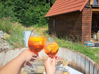 Wynajmę drewniany dom