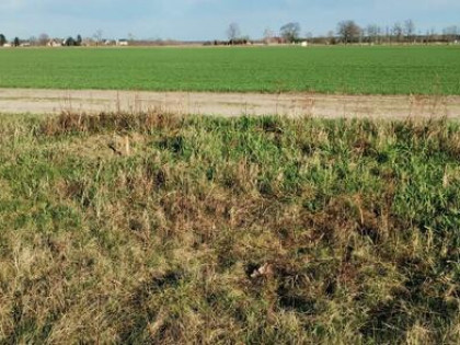 Działka budowlana UZBROJONA w Borku gm Deszczno