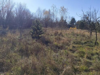 Atrakcyjna działka rolna 1604.00 m2 - Narew