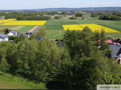 Działki budowlane, Góra Motyczna, gm. Żyraków