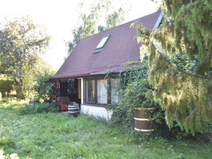 Sprzedam Siedlisko wśród zieleni lasów.