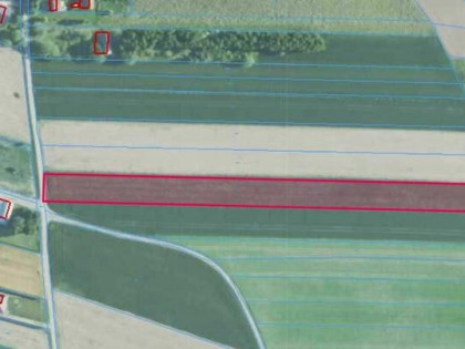 Działka w Dzierdziówce 57 ar