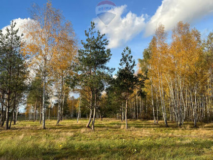 Działka budowlana nr 60/22 Józefów gmina Pniewy