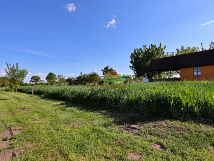 Działka rekreacyjna Jędrzychowice gm. Szlichtyngowa,