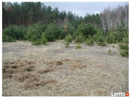 Działka budowlana ponad 1200 m2 za jedyne 190000zł !