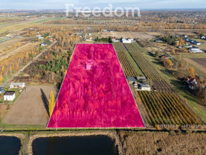 Działka 39 532 m² — idealna pod osiedle