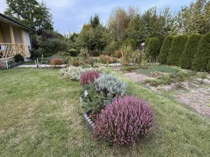 Sprzedam działkę (ROD Uroczysko) pod Białymstokiem