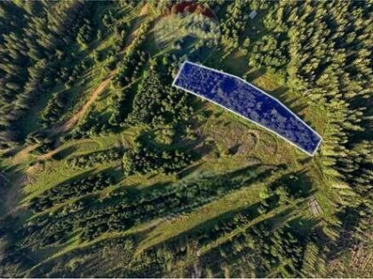 Działki Rolne - Sprzedaż - Dzianisz