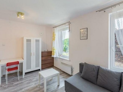 Wynajmę przytulne studio, pet friendly. Pokoju 10