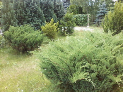 Dzialka 600m2 budowlana w Grodzisku 300m od szkoly