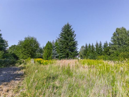 Działka budowlana Żabia Wola gm. Strzyżewice,