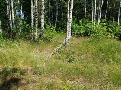 ⭐⭐⭐⭐⭐ Działka z MPZP zabud jednorodz 2-lokal.⭐⭐⭐⭐⭐