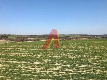 Działka rolna Brzoskwinia gm. Zabierzów, Kamyk