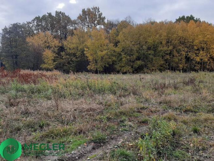 Działka Rusiec- dobra cena