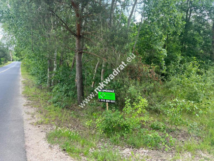 ⭐⭐⭐⭐⭐ Ładna zalesiona działka z MPZP ⭐⭐⭐⭐⭐