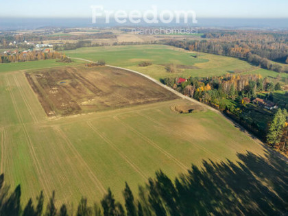 Działka budowlana z usługami blisko lasu !