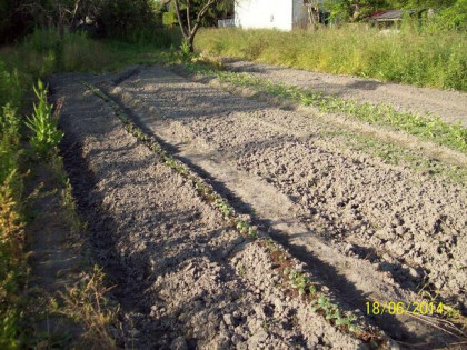 sprzedam pod inwestycje Blizne Jasińskiego działka 1083 m2