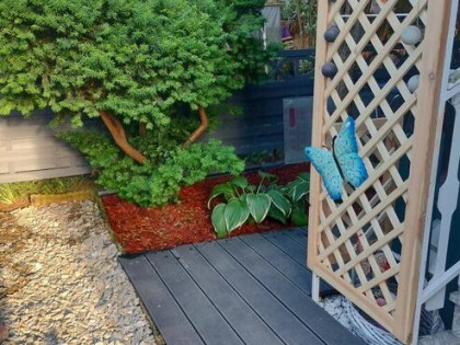 Działka z domem calorocznym cena do negocjacji