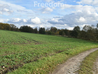 Ziemia rolnicza na sprzedaż.