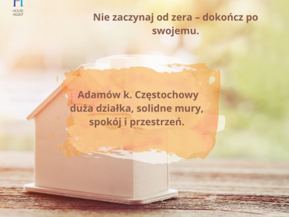 Dom Adamów ul. Żabia