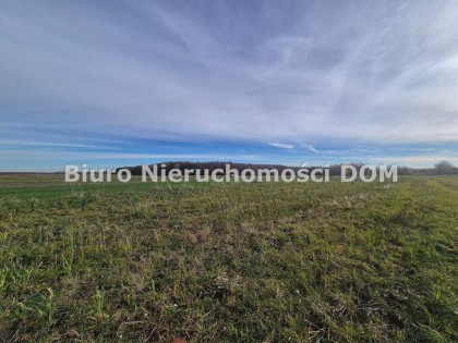 Działka Łochynia gm. Mykanów