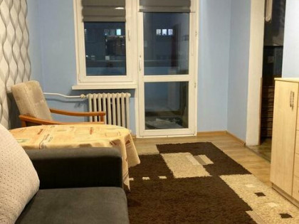 Mieszkanie 2-pokojowe. Parter/ Apartment for rent