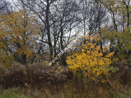 ⭐⭐⭐⭐DZIAŁKA Z POZWOL. NA BUDOWĘ DOM 2 LOKALOWY⭐⭐⭐⭐