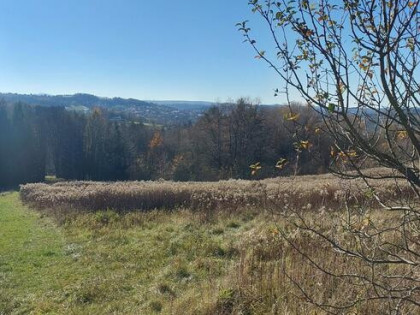 Działka rolna południowy stok, Ciężkowice 75 ar !