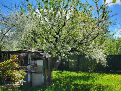 Ogródek (działka rekreacyjna)-Sprzedam