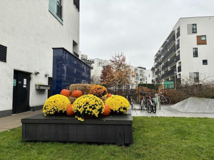 BEZPOŚREDNIO mieszkanie z klimatyzacją na sprzedaż, Żoliborz