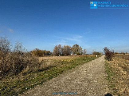 Duża działka blisko autostrady A2 !!!