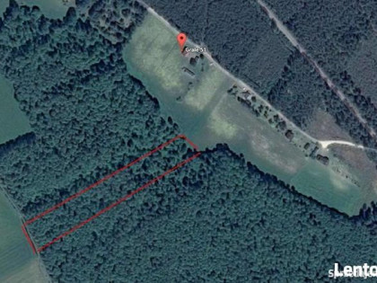 Działka leśna las w Gralach 64 a (gm. Kadzidło)