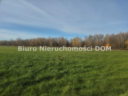 Działka Łochynia gm. Mykanów