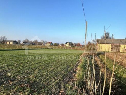 Działka budowlana Stasiówka gm. Łomazy, Stasiówka