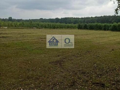 Działka budowlana Głuchów