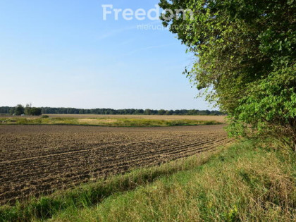 Działki na sprzedaż 17 ar