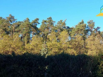 Działka Marylka gm. Tarczyn