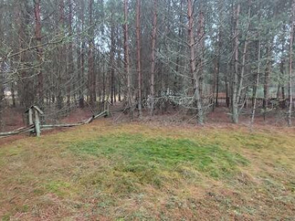 Działka rekreacyjna Wdzydze gm. Kościerzyna