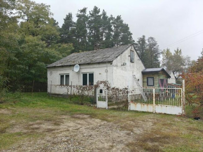 Syndyk sprzeda - Karolew