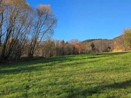 Działka budowlana Przenosza gm. Dobra