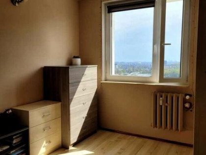 ielony azyl w Gdańsku – widok na las