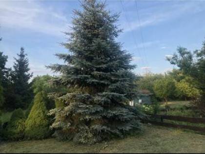 działka rod 298m2 w białymstoku centrum ul ciołkowskiego