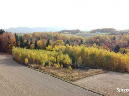 Działka rolna pod Inwestycje, rekreacje, kurs