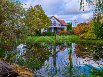 Dom z duszą w Rogitach,a diabeł tkwi w szczegółach