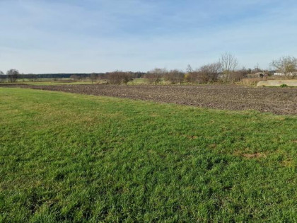 Działki rolne na sprzedaż - Biskupice, gm. Grodziec