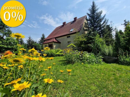 Dom wolnostojący nad rzeką, k. Nowej Soli