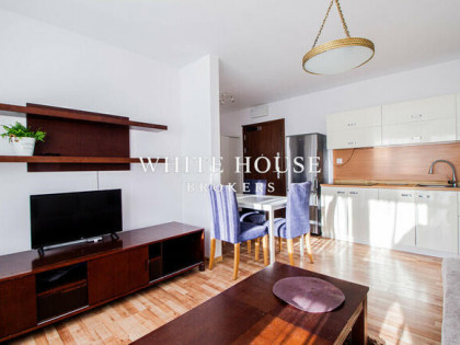 2 pokoje, parter, dobrze skomunikowane, ogród