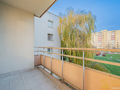 Mieszkanie Opole Stary ZWM, Grota Roweckiego