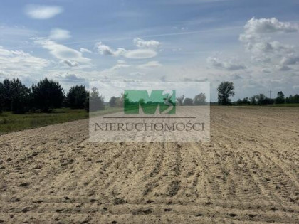 DO SPRZEDAŻY DZIAŁKA W KULNIE