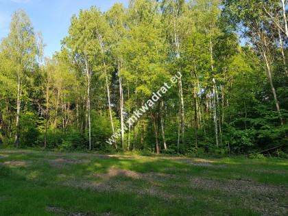 ⭐⭐⭐⭐⭐ Blisko PODKOWY  pod dom 2 lokal. Media ⭐⭐⭐⭐⭐